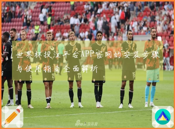 世界杯投注平台APP官网的安装步骤与使用指南全面解析