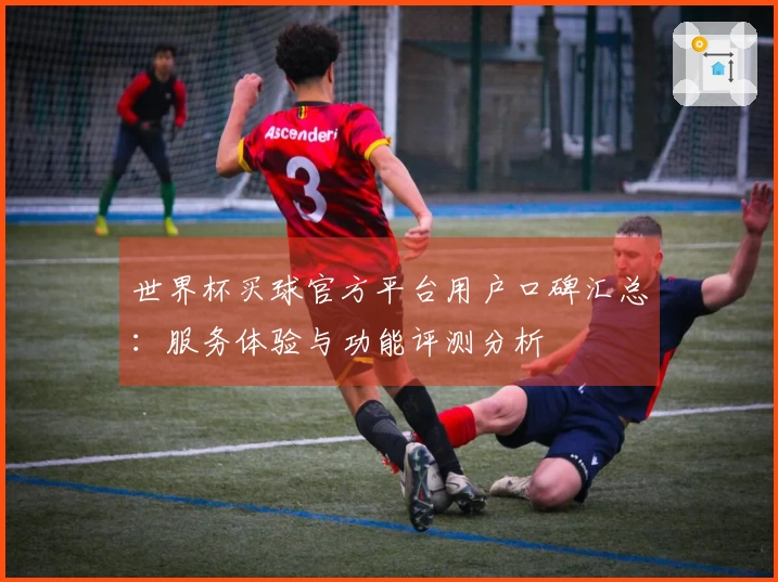 世界杯买球官方平台用户口碑汇总：服务体验与功能评测分析