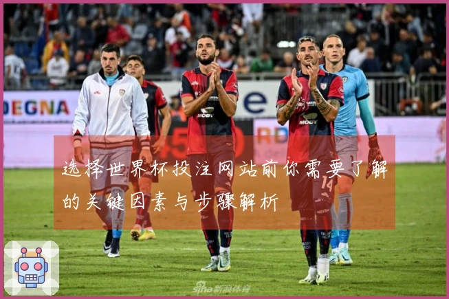 选择世界杯投注网站前你需要了解的关键因素与步骤解析