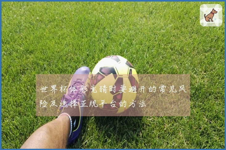 世界杯体彩竞猜时要避开的常见风险及选择正规平台的方法