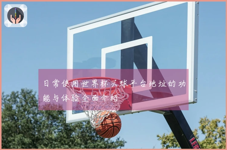 日常使用世界杯买球平台地址的功能与体验全面介绍