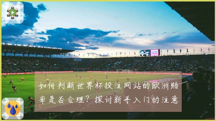如何判断世界杯投注网站的欧洲赔率是否合理？探讨新手入门的注意事项