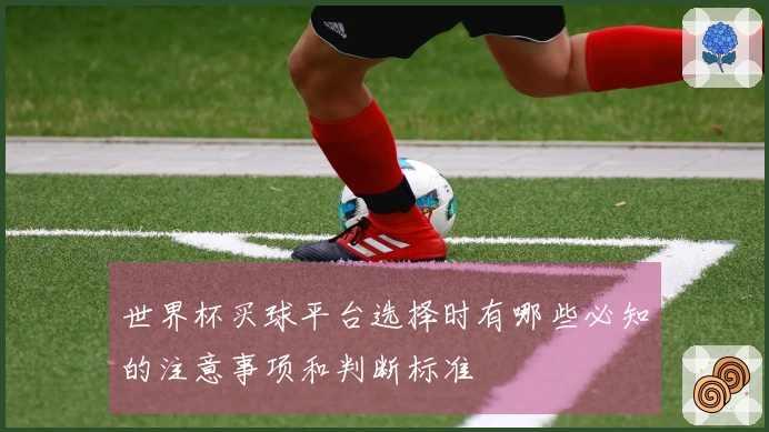 世界杯买球平台选择时有哪些必知的注意事项和判断标准