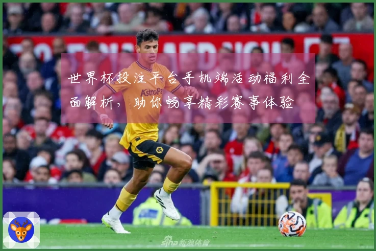 世界杯投注平台手机端活动福利全面解析，助你畅享精彩赛事体验