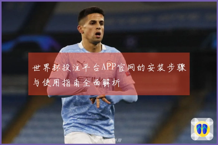 世界杯投注平台APP官网的安装步骤与使用指南全面解析