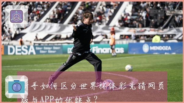 新手如何区分世界杯体彩竞猜网页版与APP的优缺点？