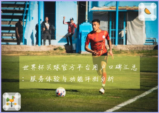 世界杯买球官方平台用户口碑汇总：服务体验与功能评测分析