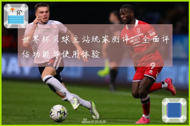 世界杯买球主站玩家测评：全面评估功能与使用体验