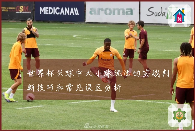 世界杯买球中大小球玩法的实战判断技巧和常见误区分析