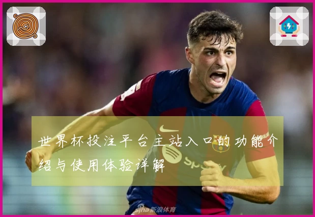 世界杯投注平台主站入口的功能介绍与使用体验详解