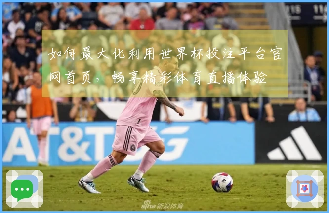 如何最大化利用世界杯投注平台官网首页，畅享精彩体育直播体验
