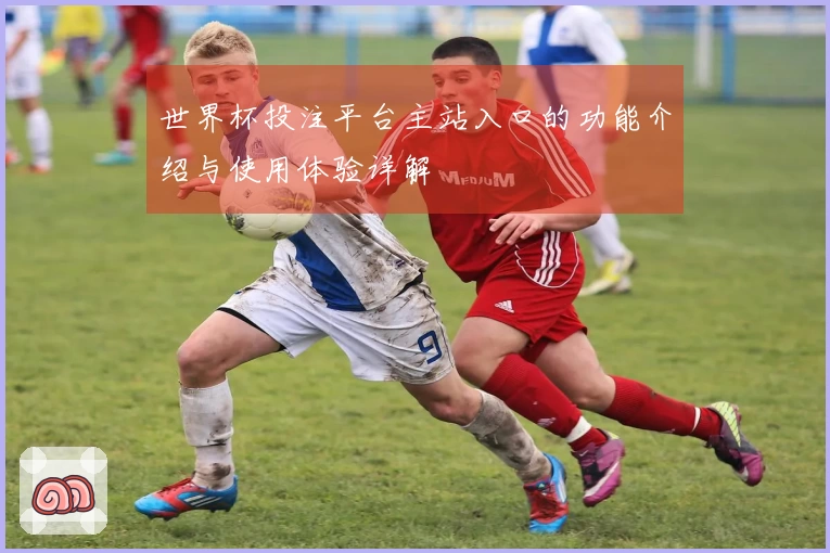 世界杯投注平台主站入口的功能介绍与使用体验详解