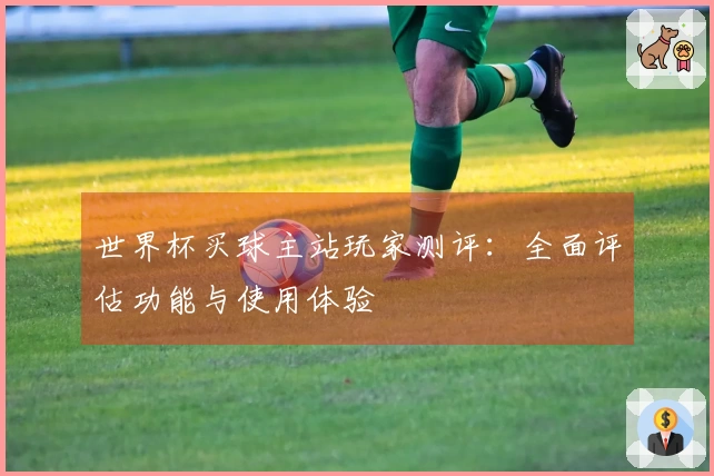 世界杯买球主站玩家测评：全面评估功能与使用体验