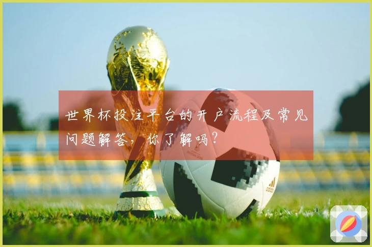 世界杯投注平台的开户流程及常见问题解答，你了解吗？